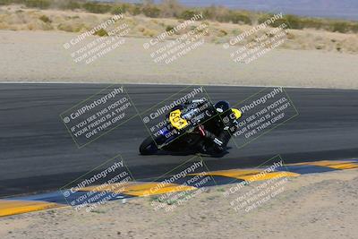 media/Feb-04-2023-SoCal Trackdays (Sat) [[8a776bf2c3]]/Turn 6 Inside (1025am)/